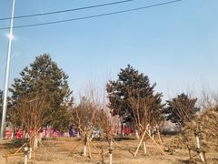 -长春西站