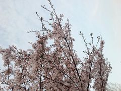 -江南大学(蠡湖校区)