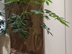 -上海月星家居(澳门路店)