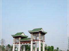 -王借岗森林公园