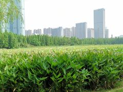 -艾溪湖湿地公园