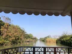 -大湾区中央湿地公园