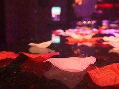 -欢乐迪KTV(南坪上海城店)