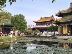 -曹州牡丹园