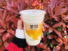 芒芒绿芝士玛奇朵-茉沏(光启城店)