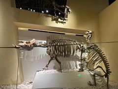 -国家自然博物馆