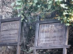 -冶父山国家森林公园