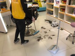 -爆米花儿童美发乐园(布吉华润万象汇店)