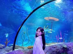 -沈阳海洋探索中心