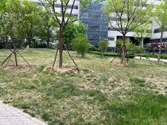 -首都医科大学附属北京天坛医院