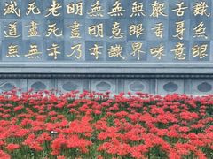 -西安大兴善寺