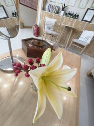 -慈蕊美容养生·专业经络调理