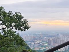 -惠山国家森林公园