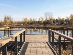 -东郊湿地公园