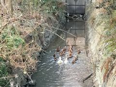 -夏河溪乡野公园