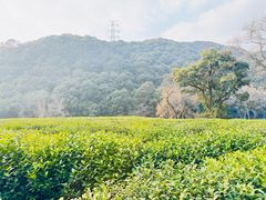-香芙茗茶楼(梅家坞店)