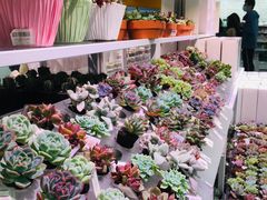 -KKV(深圳宏发大仟里店)