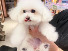 -FAELING PETS美天灵宠物(富力广场店)