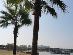 -仙湖旅游度假区
