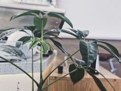 大堂-Onirii Coffee(长乐路店)