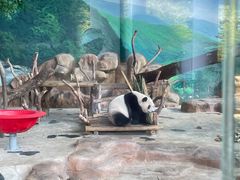 -南宁市动物园