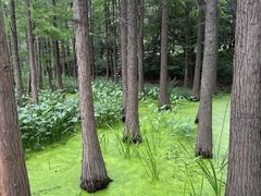 -云龙湖旅游景区