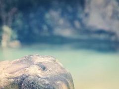 -龙湾潭国家森林公园