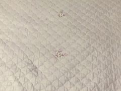 -福奈特洗衣洗鞋(海阳路店)