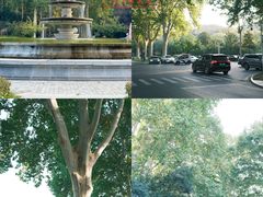 -河南省黄河迎宾馆