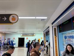 -上海交通大学医学院附属上海儿童医学中心(陆家嘴总院区)