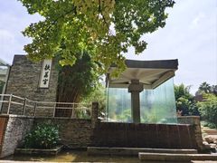 -昆明植物园