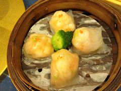 -金龙寨(龙城路店)