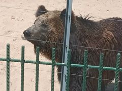 -秦皇岛野生动物园