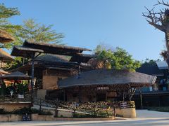 -海南槟榔谷黎苗文化旅游区