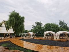 -J Create城市露营咖啡·简餐·宠物(上海动物园店)