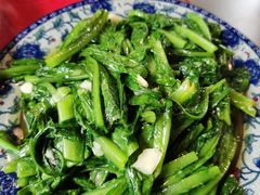 油麦菜-生态苑农庄(十里画廊遇龙河店)