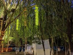 -长白岛森林公园