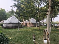 -九十九顶毡房(阜石路店)