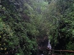 -青城山