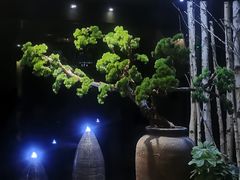 -纽斯桑拿会所(天山店)