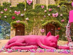 -青岛方特梦幻王国