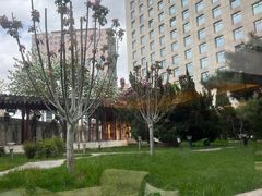 -亮马河饭店翠雅咖啡厅