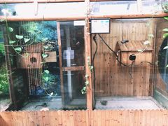 -上海大自然野生昆虫馆(东方明珠·爬宠昆虫探索中心)