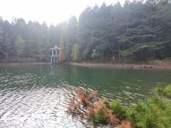 -四明山国家森林公园
