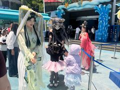 -海合安成都极地海洋公园