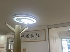 大堂-鼓捣猫呢主题猫咖店