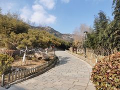 -竹子庵公园
