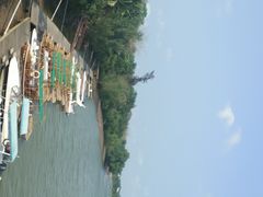 -东寨港红树林旅游区