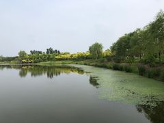 -东郊湿地公园