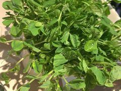 -浩爷羊蝎子火锅(望京店)